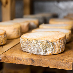 Fromagerie La Tour-du-Pin - Pierre Guillaud-Bataille